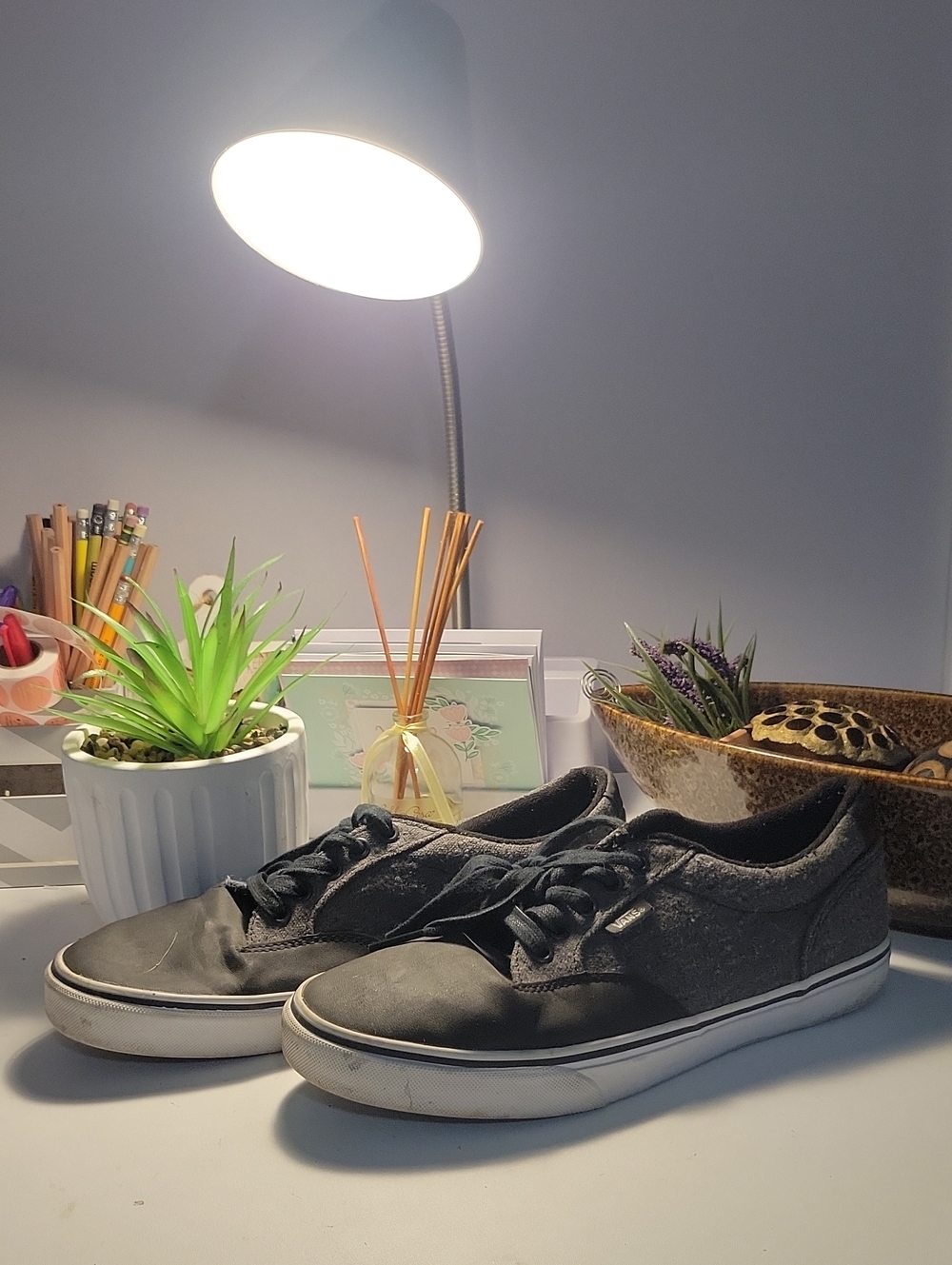 Vans Black Low-Top Skate Shoes